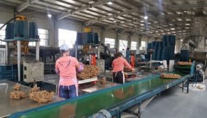 TSR Natural Rubber Processing Machinery